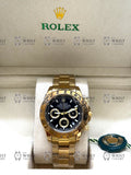 DAYTONA gold , black dial, oyster bracelet